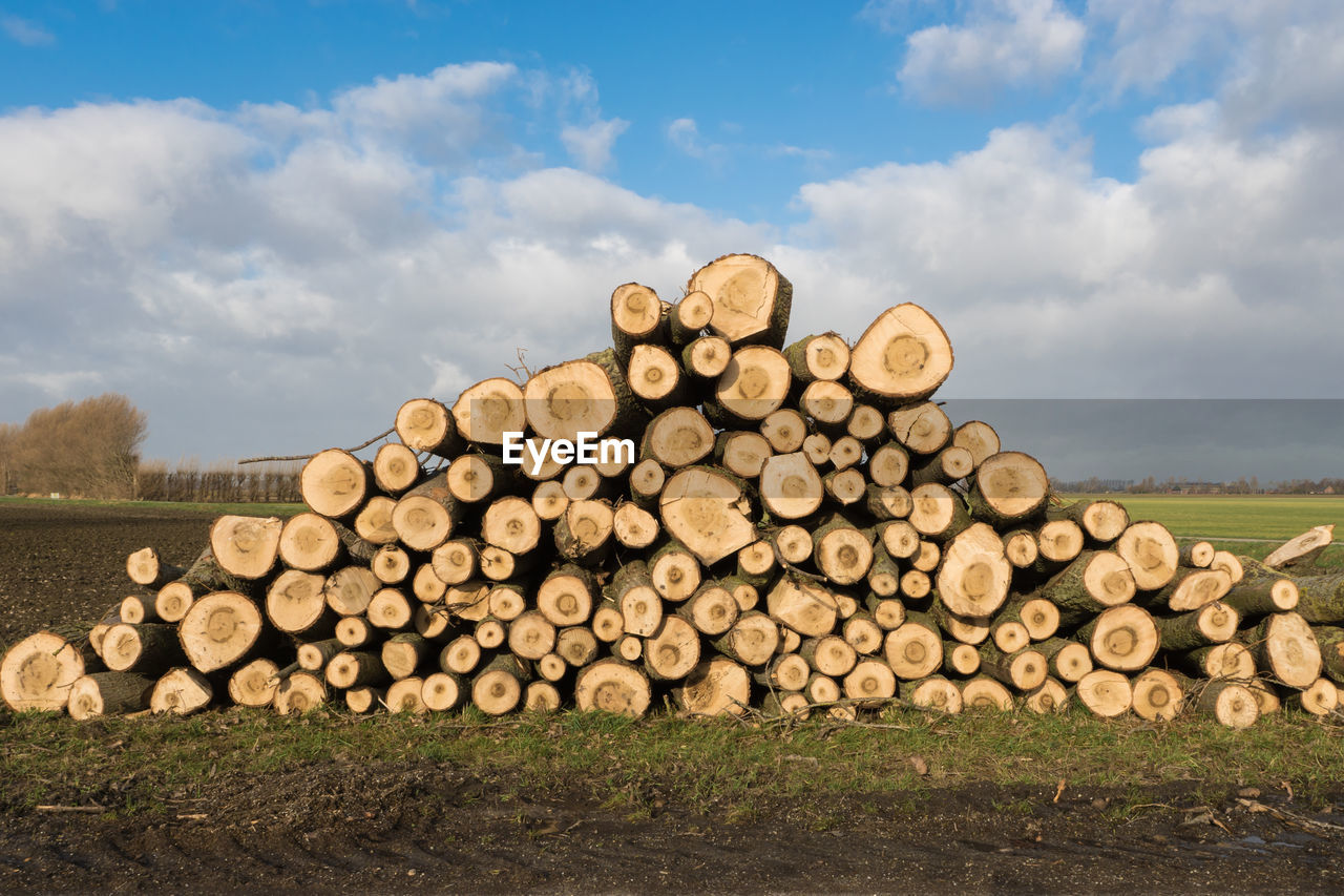 STACK OF LOGS IN FIELD