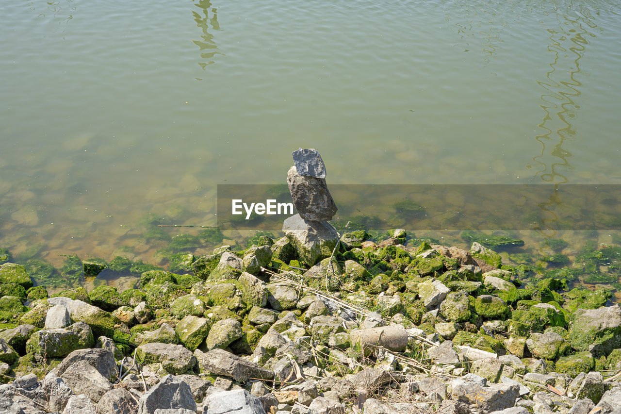 HIGH ANGLE VIEW OF LIZARD ON ROCK