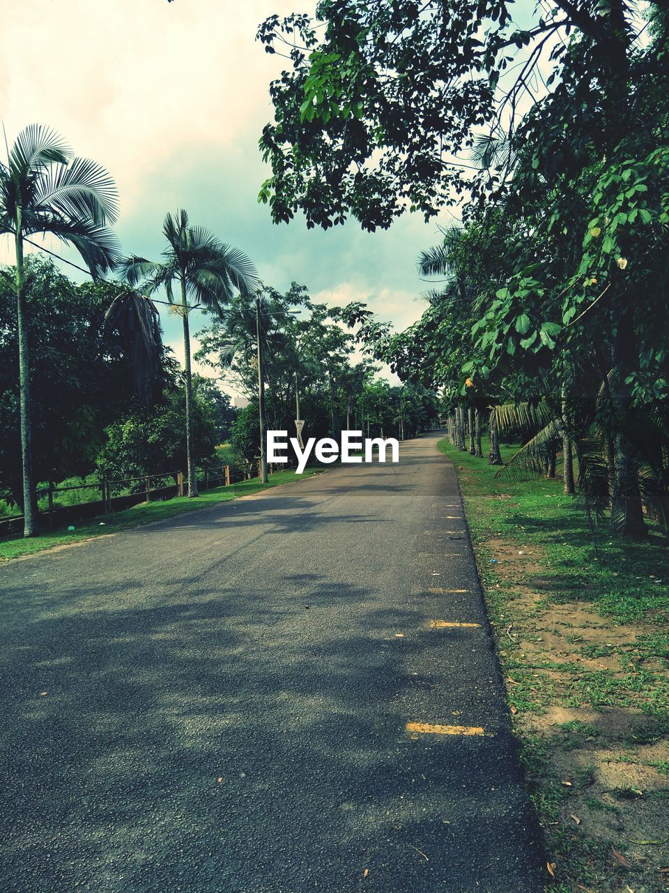 VIEW OF ROAD AMIDST TREES AGAINST SKY