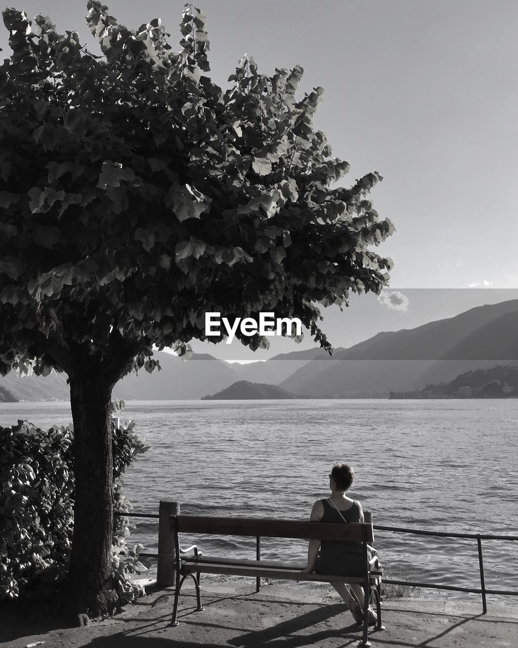 Rear view of man sitting on bench by tree against sky