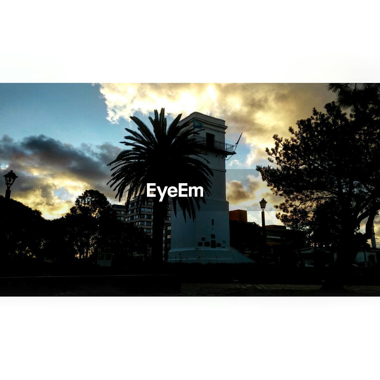 SILHOUETTE OF PALM TREES AGAINST CLOUDY SKY