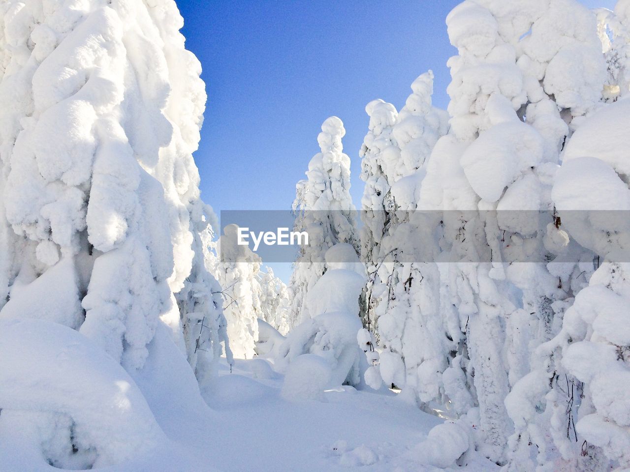 Low angle view of snow against sky