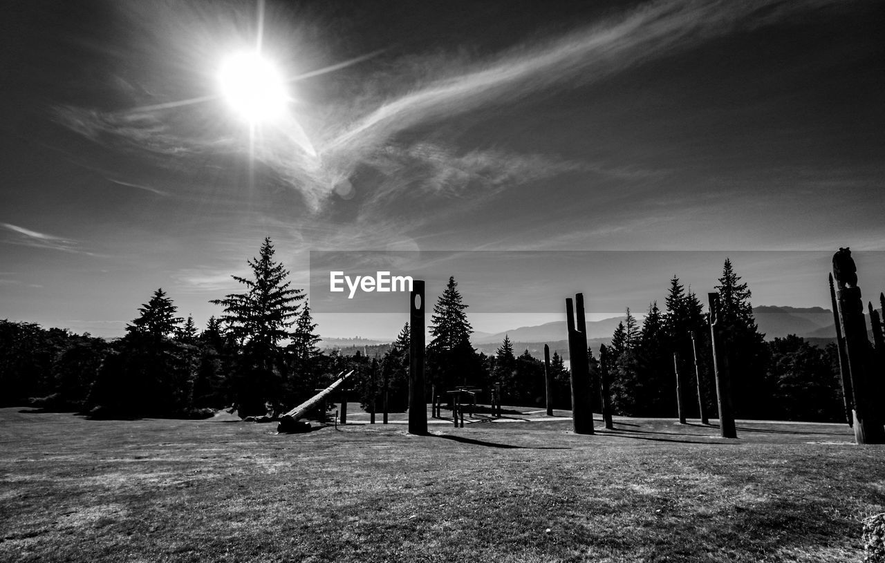 Trees on field against sky