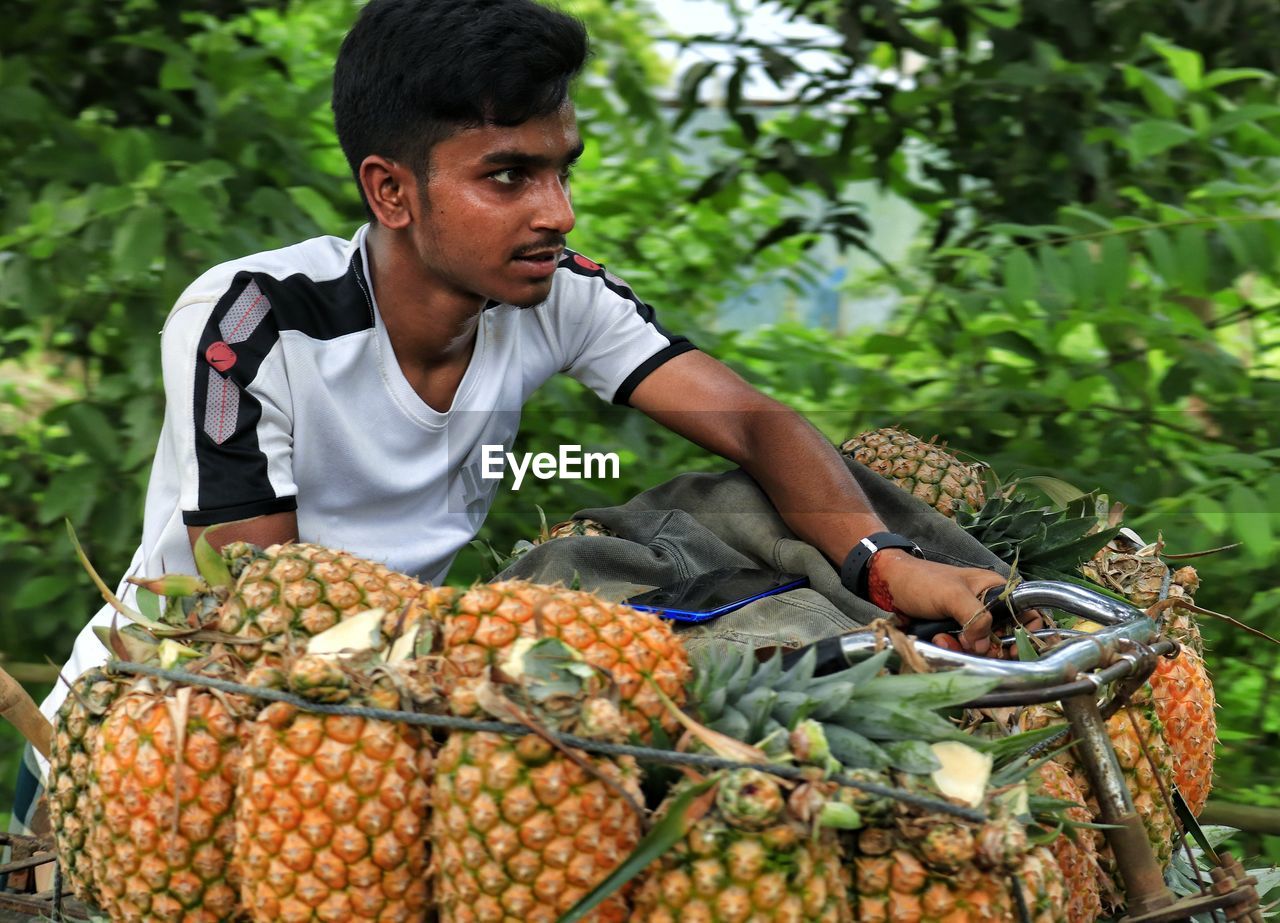 Close up view of farmer transporting pineapple by bicycle to the local market