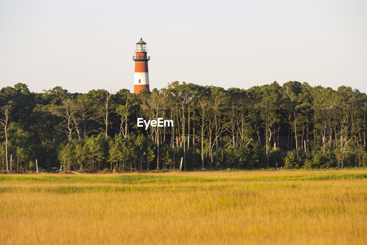 Lighthouse by trees on field against sky