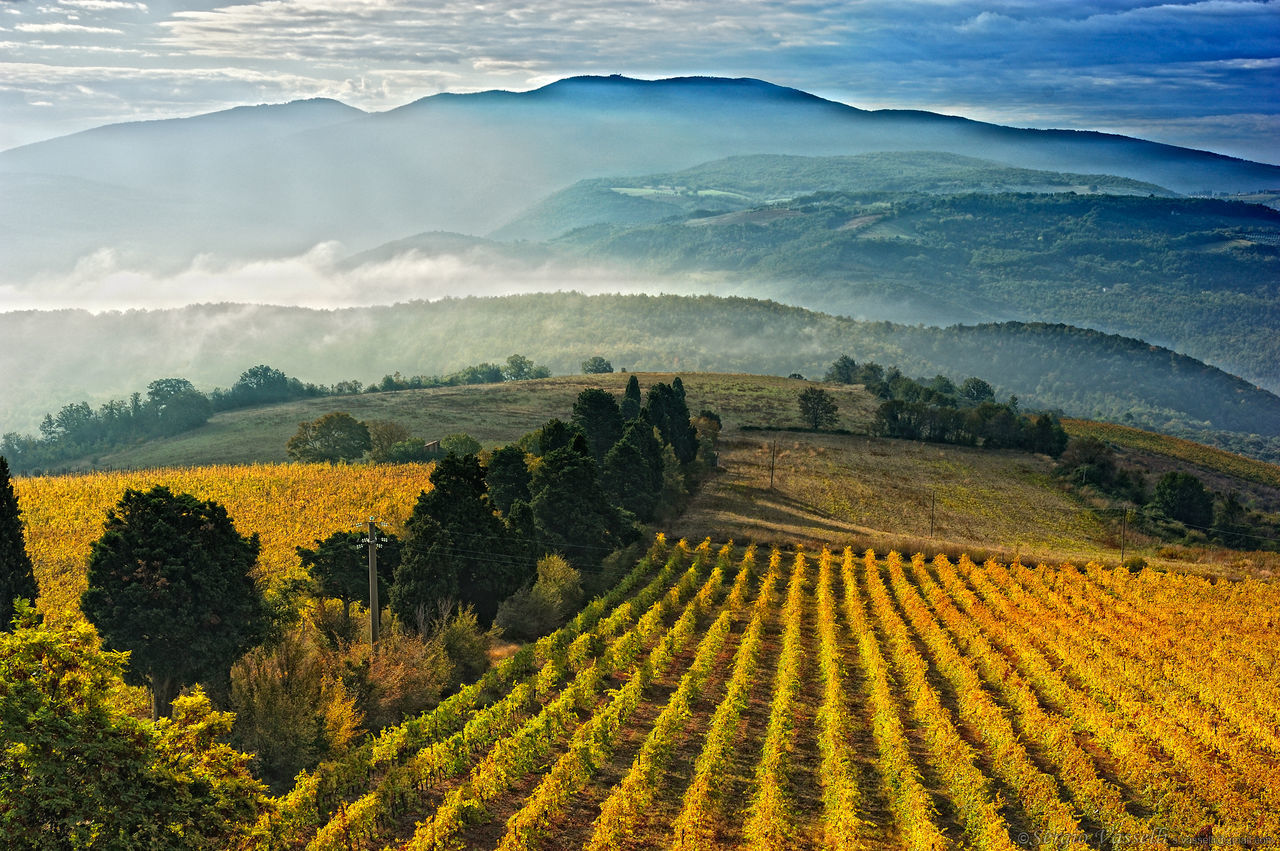 High angle view of landscape against sky