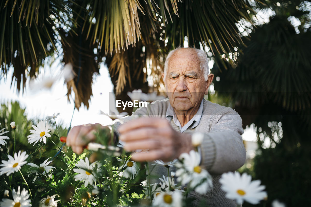 Portrait of senior man working in the garden