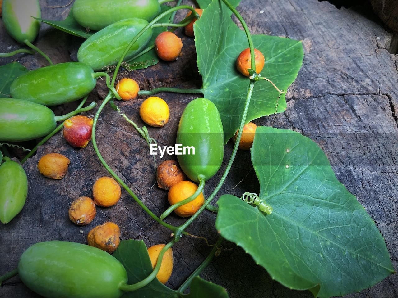 HIGH ANGLE VIEW OF FRESH FRUITS ON LEAVES