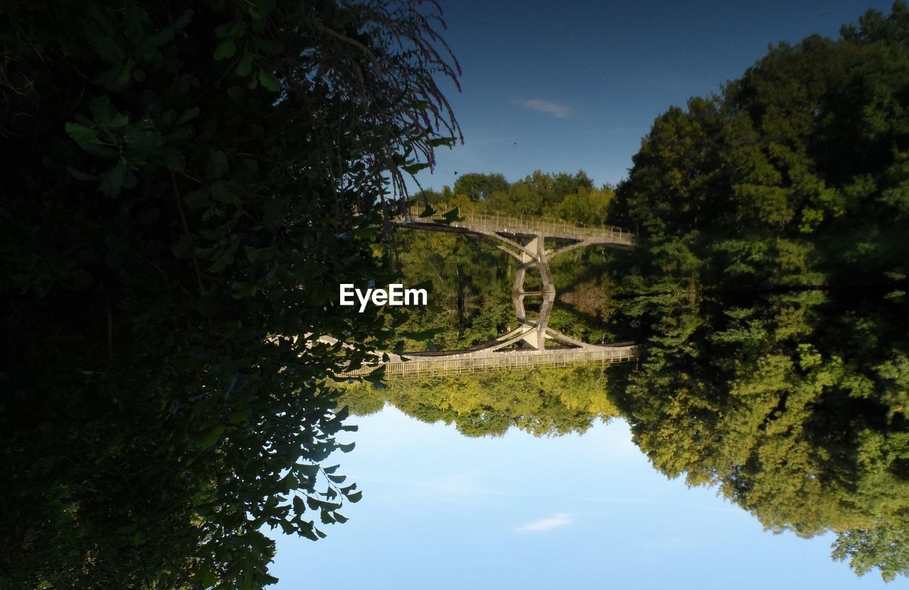 TREES REFLECTING IN WATER