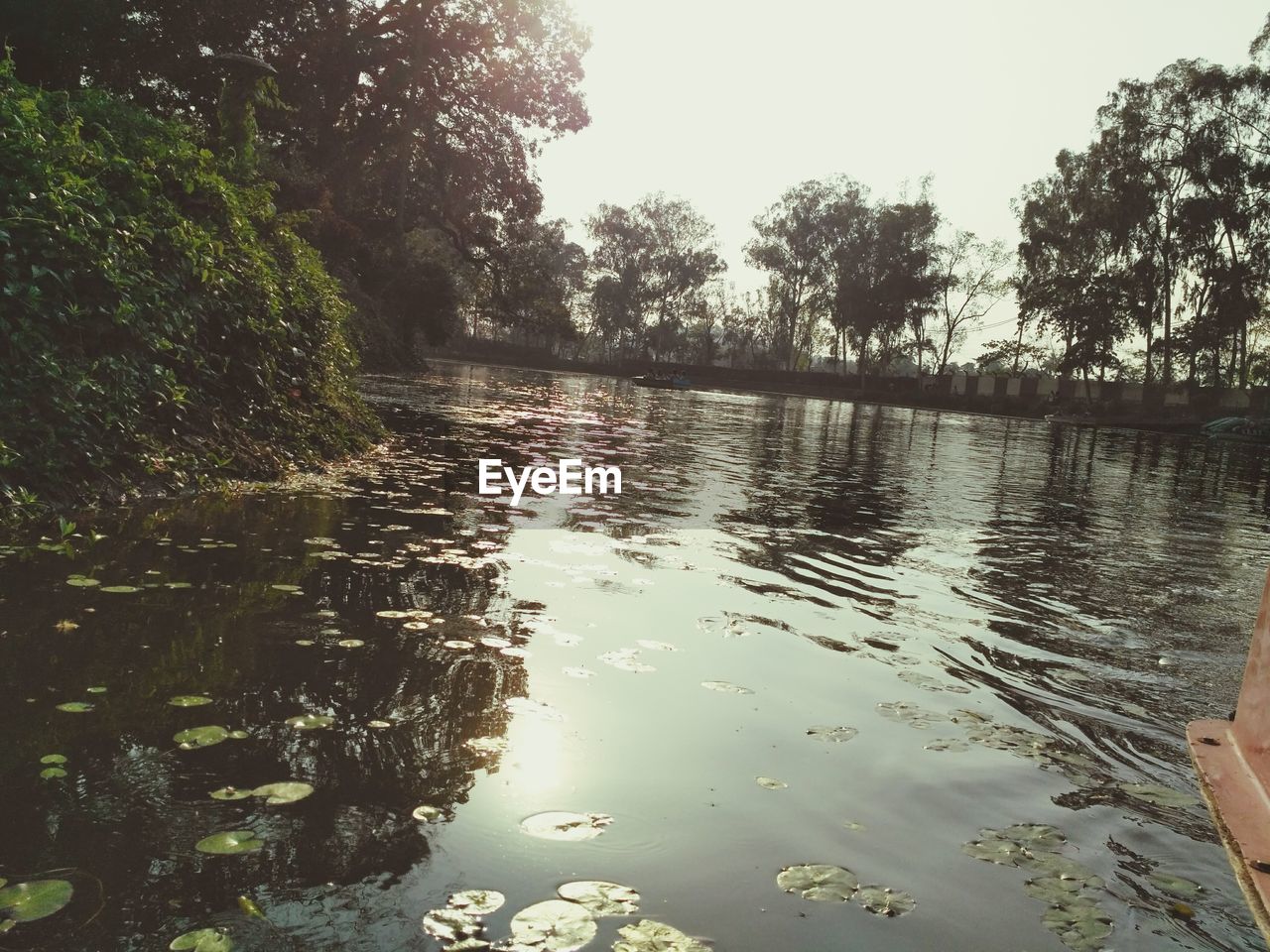 SCENIC VIEW OF LAKE BY TREES AGAINST SKY