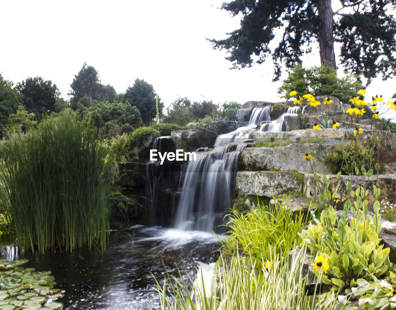 WATERFALL IN FOREST