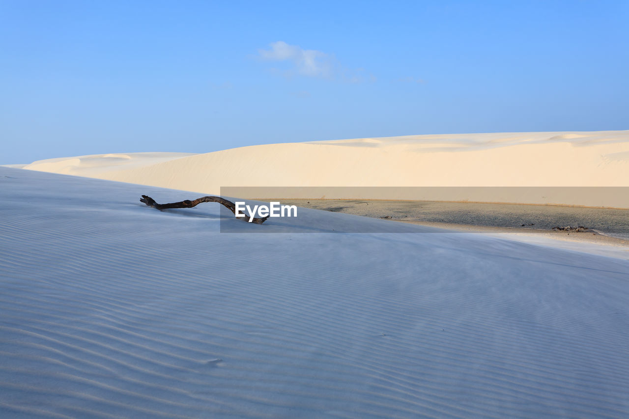 SCENIC VIEW OF SAND DUNES IN DESERT