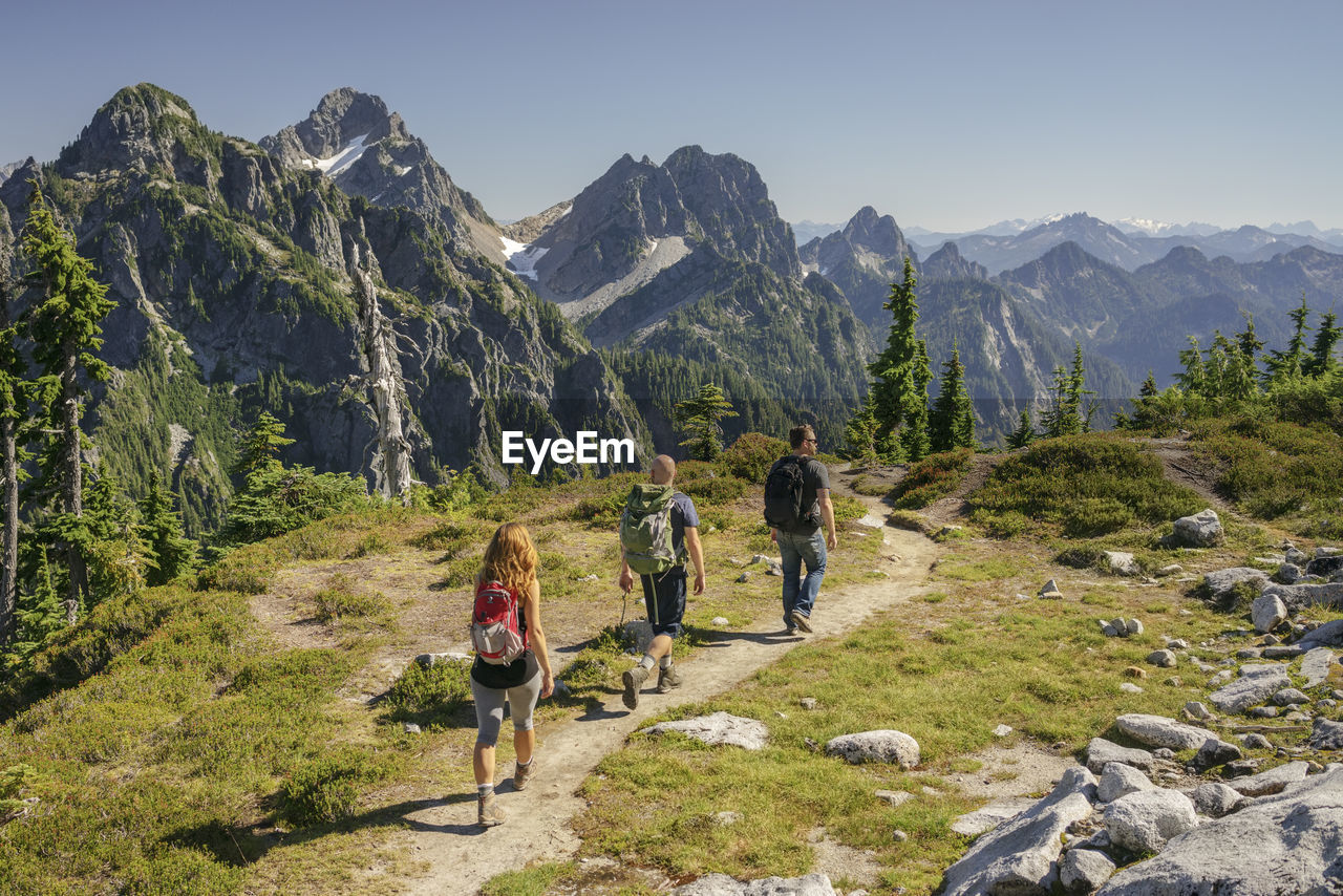 Rear view of friends hiking at north cascades national park against clear sky