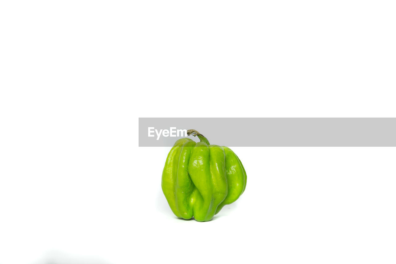 CLOSE UP OF GREEN CHILI PEPPER