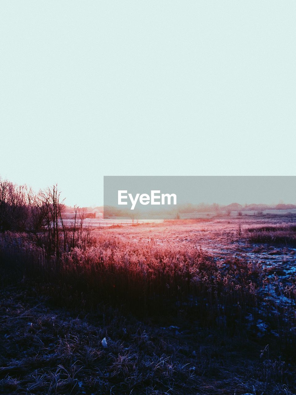 SCENIC VIEW OF FIELD AGAINST SKY DURING WINTER