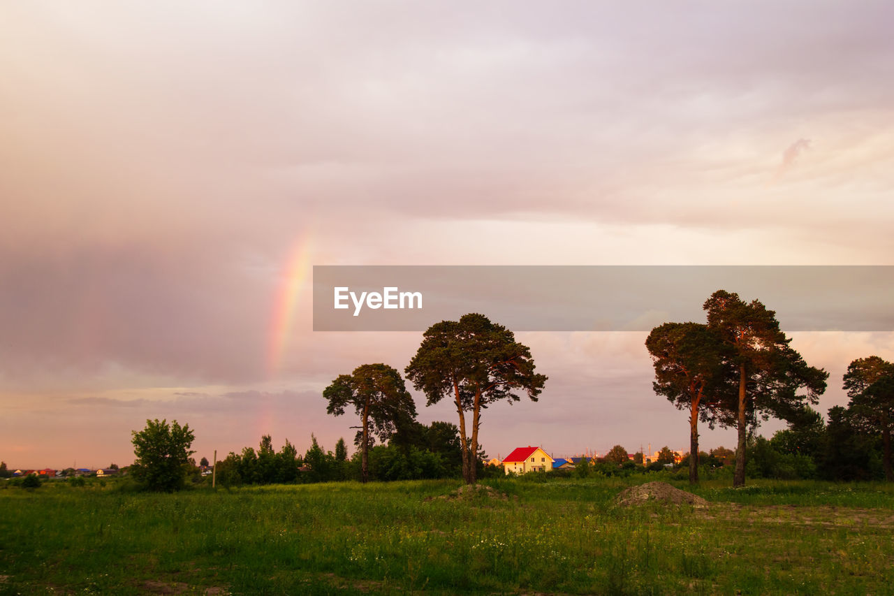  the rustic landscape with trees, colorful sky and rainbow at the sunset.
