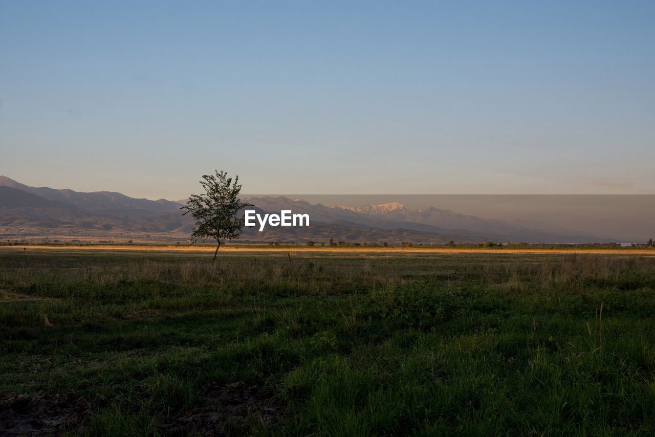 SCENIC VIEW OF FIELD AGAINST SKY DURING SUNSET