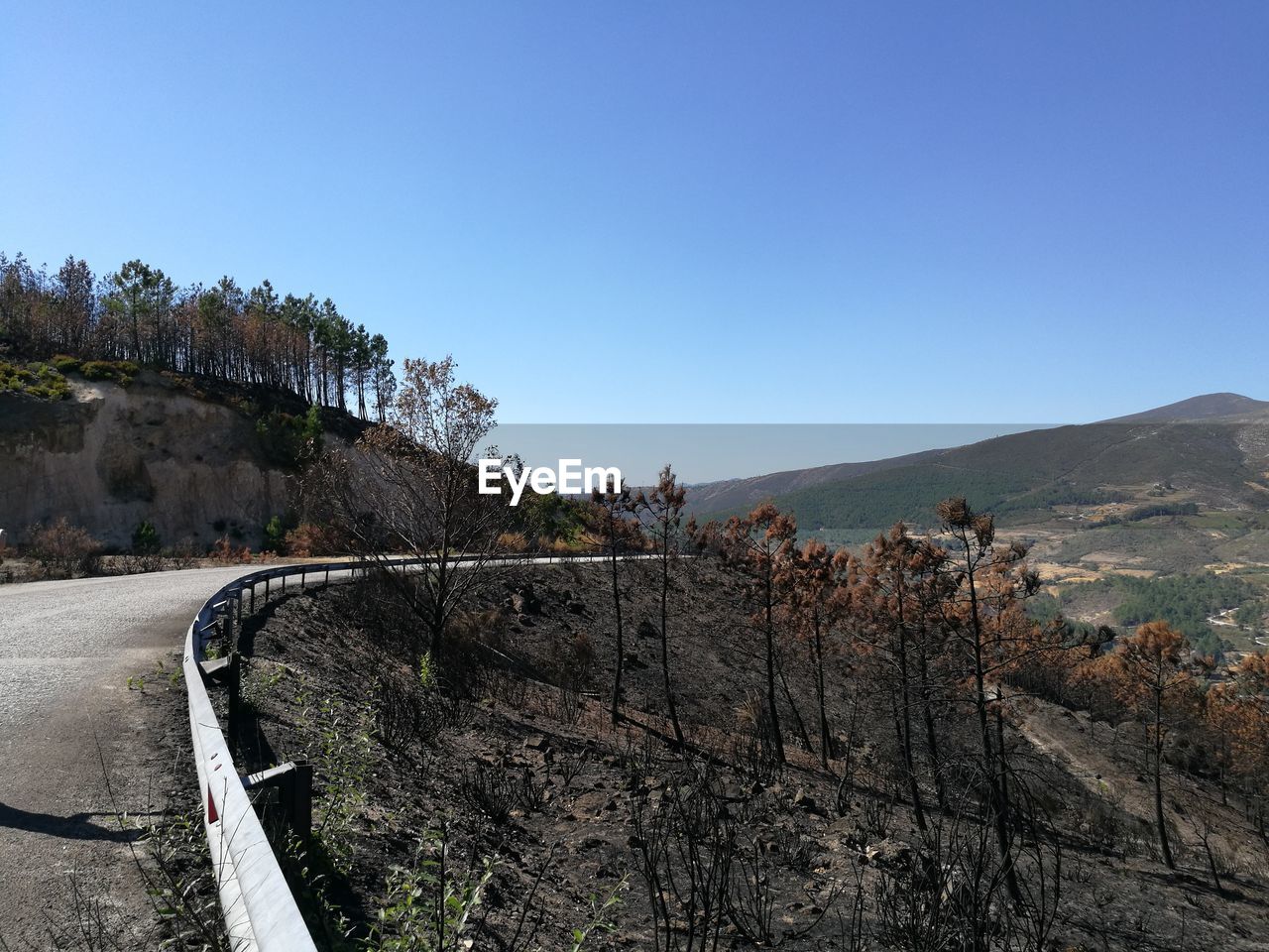 LANDSCAPE AGAINST CLEAR BLUE SKY