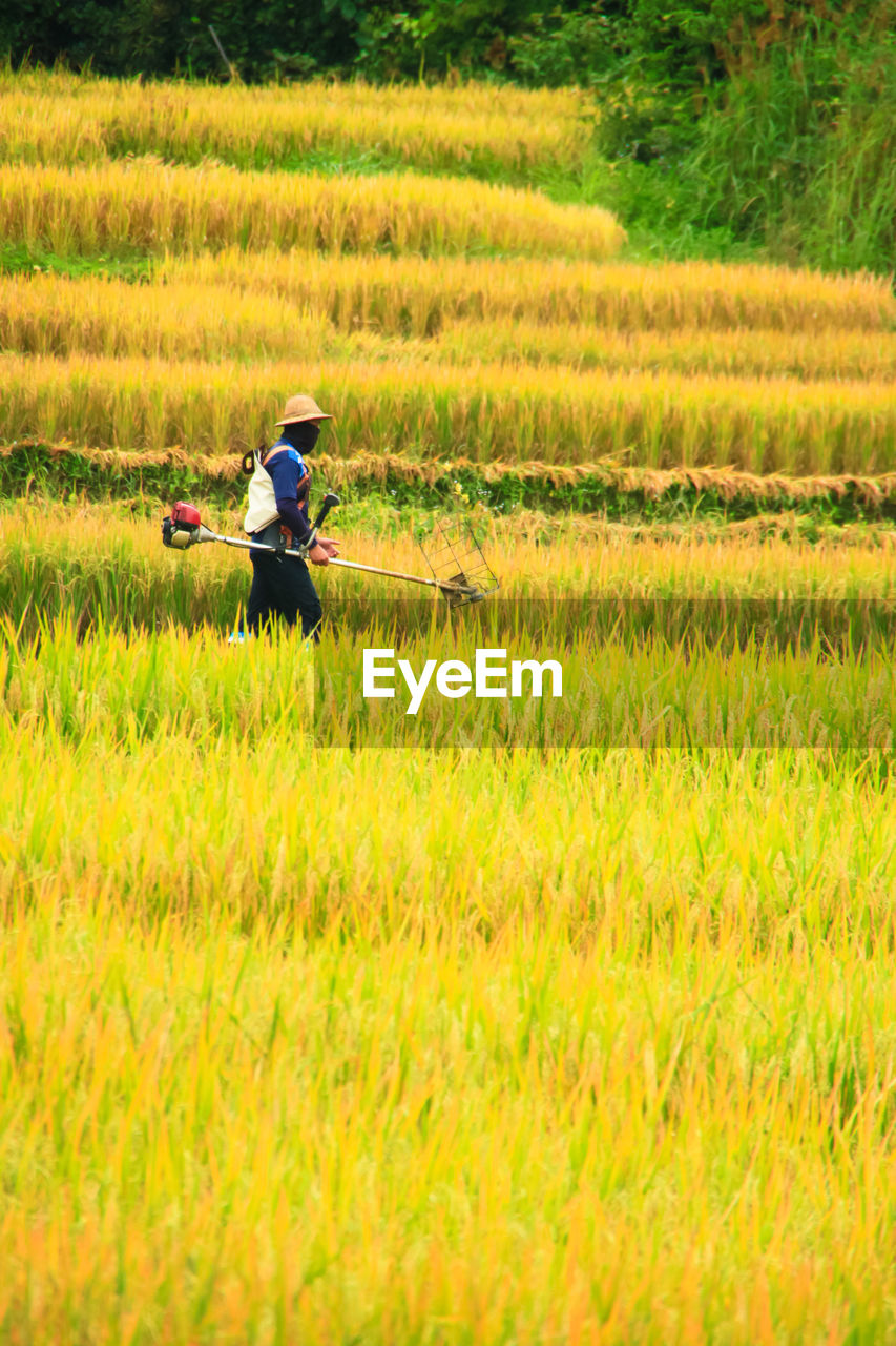 MAN IN FIELD