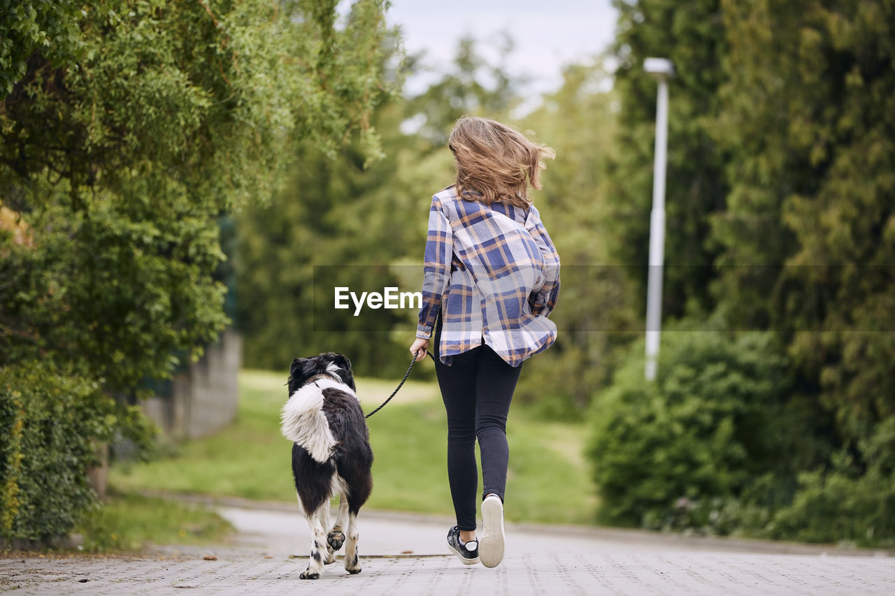 Rear view of woman with dog walking