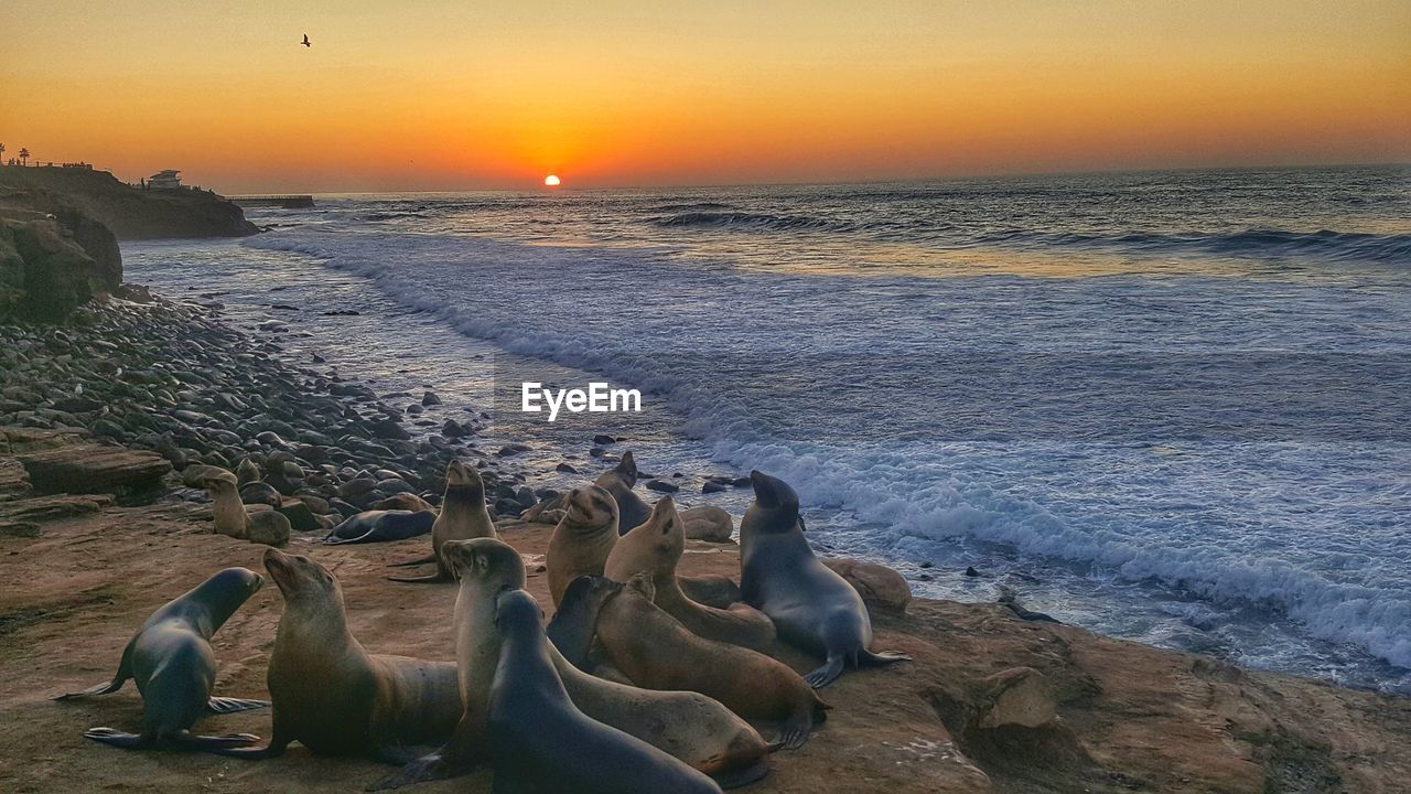 SCENIC VIEW OF SEA AGAINST ORANGE SKY