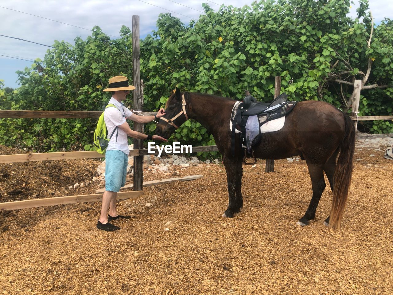 Full length of man petting horse