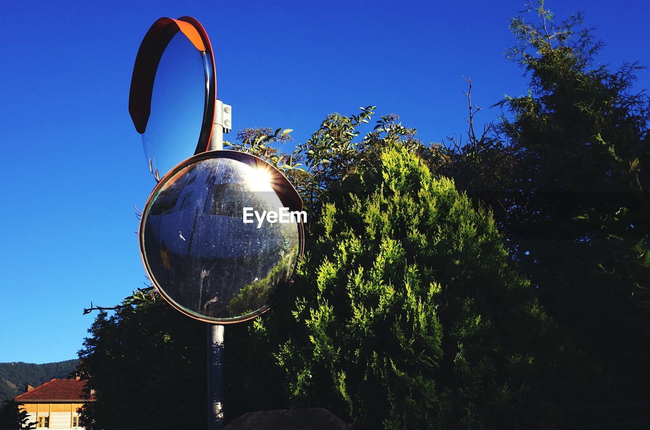 LOW ANGLE VIEW OF TREE AGAINST BLUE SKY