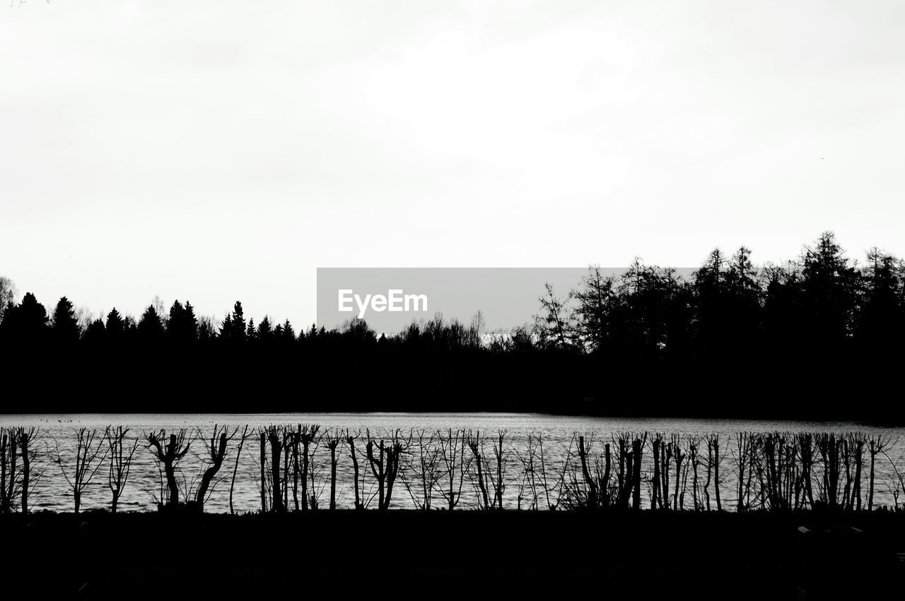 River against silhouette trees and clear sky at dusk