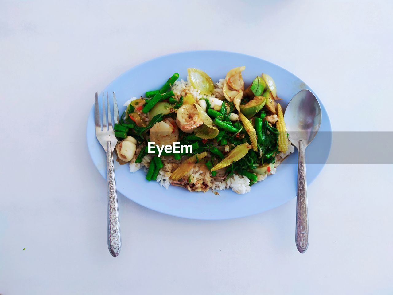 Close-up of meal served in plate