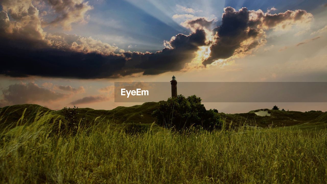 SCENIC VIEW OF GRASSY FIELD AGAINST SKY