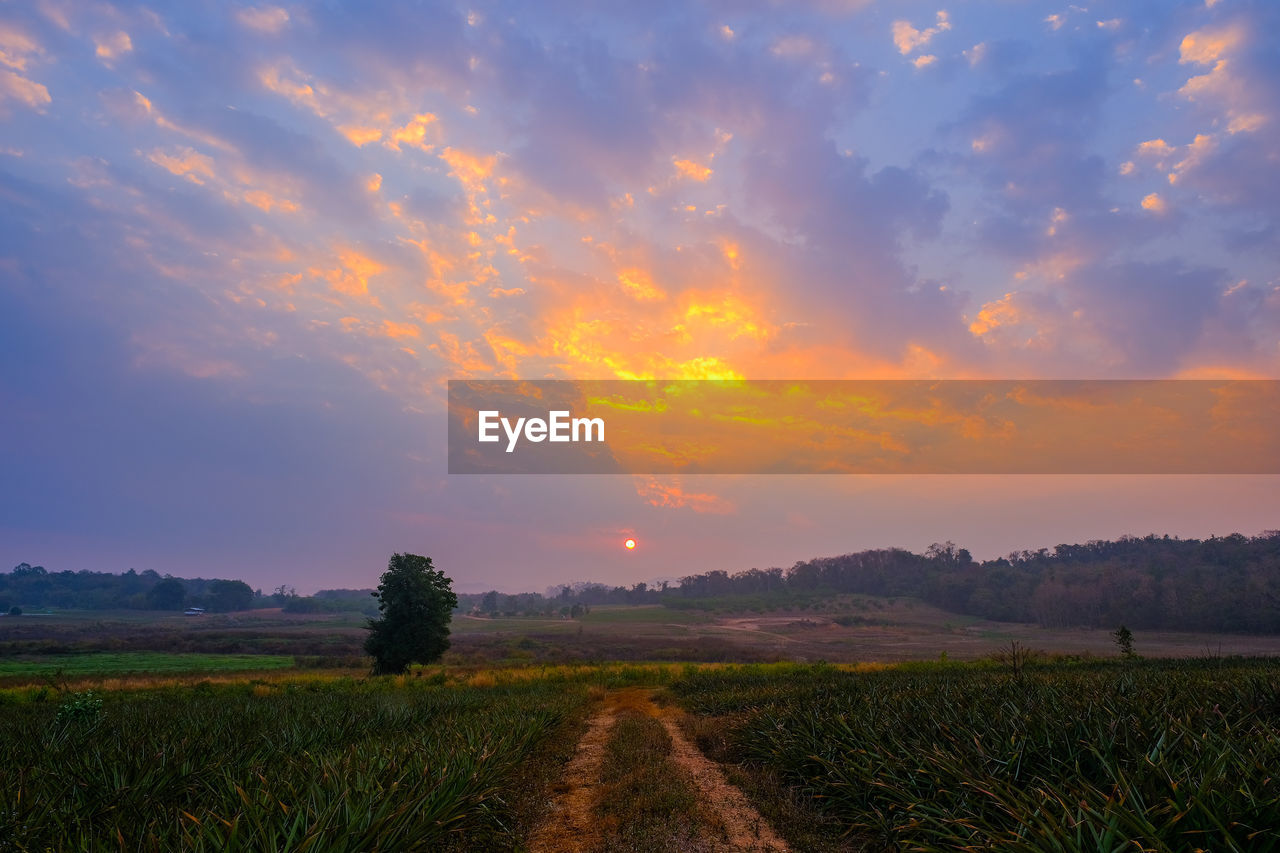 SCENIC VIEW OF FARM AGAINST SKY DURING SUNSET