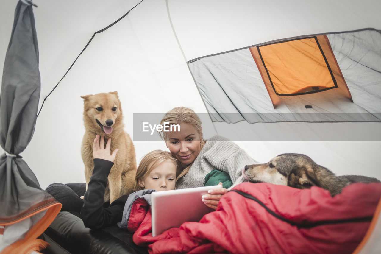 Mother and daughter watching digital tablet while lying with pets in tent at camping site