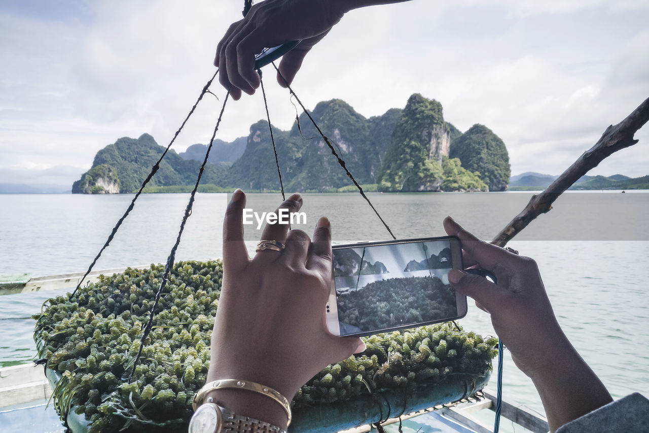 Tourist hand using a mobile phone to take pictures of seaweed, in ao luek, krabi, thailand