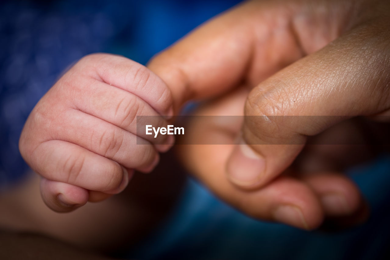 Cropped image of father holding baby hand