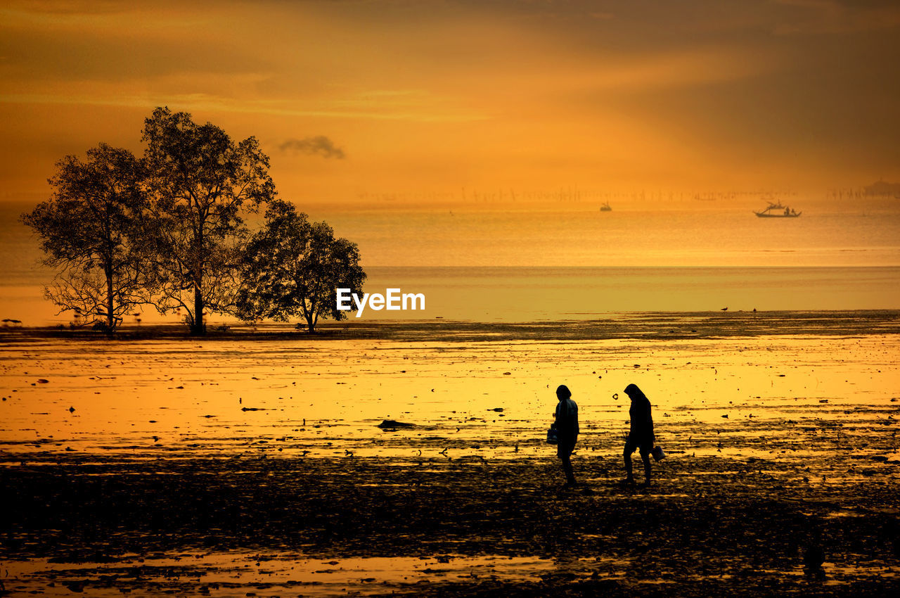 Silhouette people on sea against sky during sunset