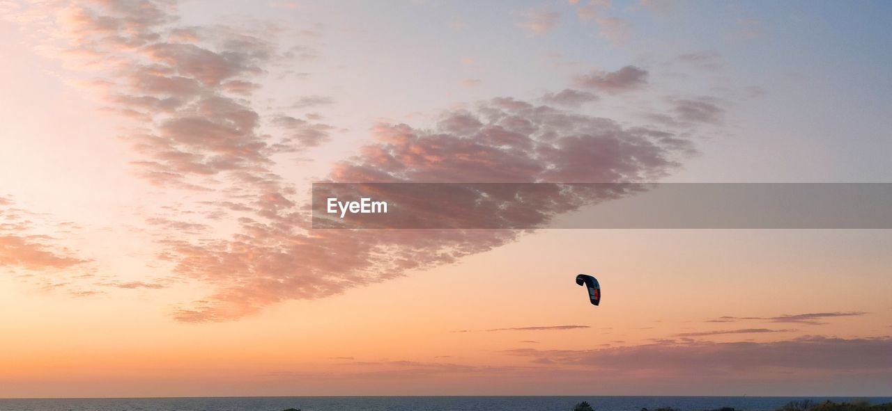 SILHOUETTE BIRD FLYING IN SKY