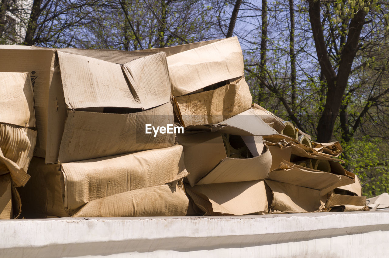 LOW ANGLE VIEW OF STACK OF TREES ON FIELD