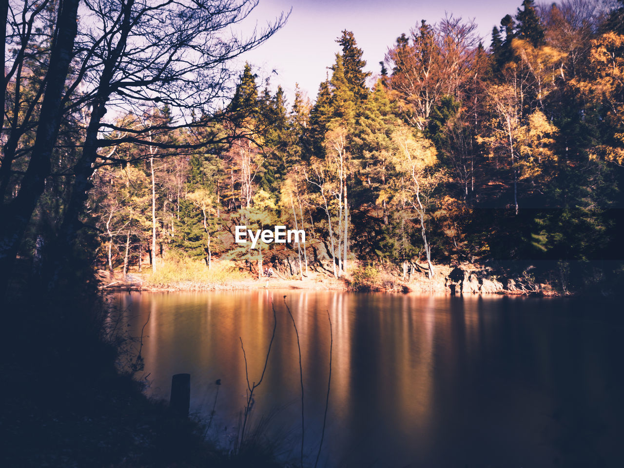 SCENIC VIEW OF LAKE BY TREES AGAINST SKY