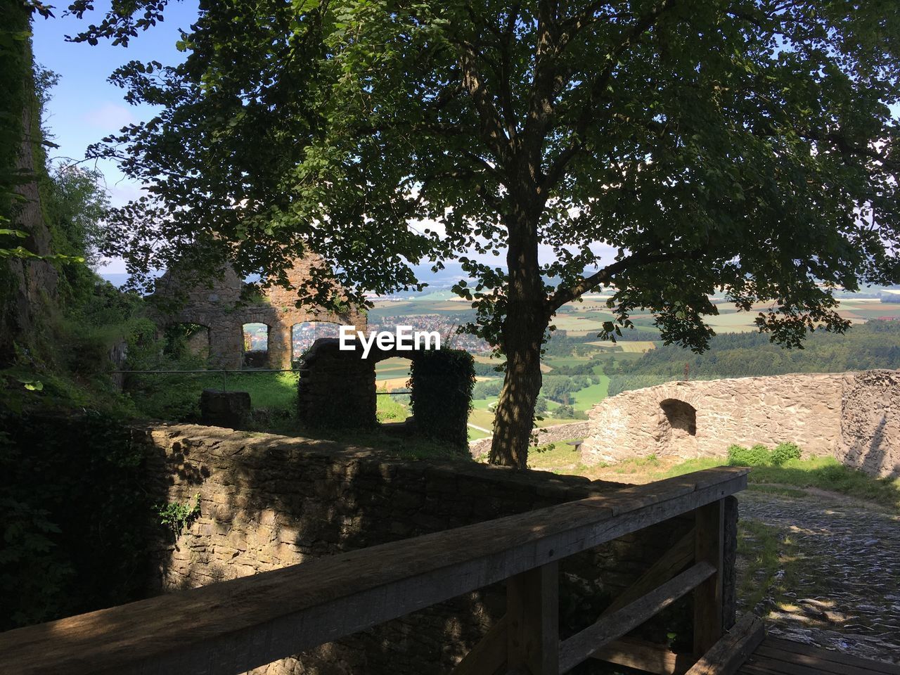 BUILT STRUCTURE WITH TREES IN FOREGROUND