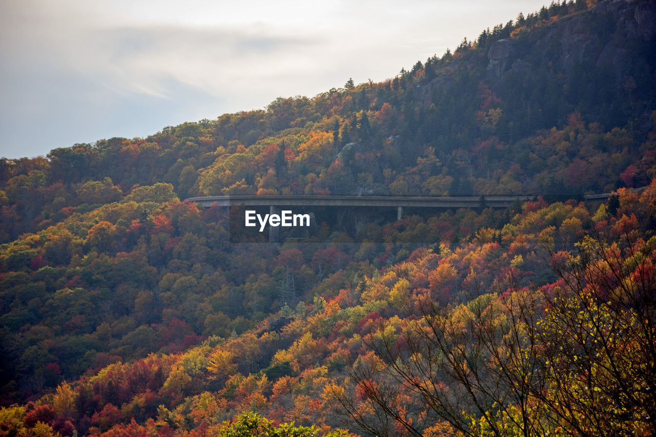 Scenic view of trees by mountain against sky during autumn