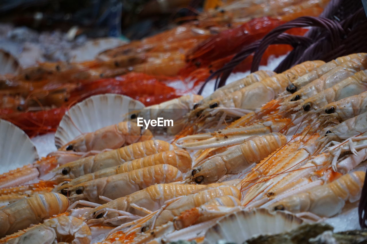 CLOSE-UP OF FISH FOR SALE