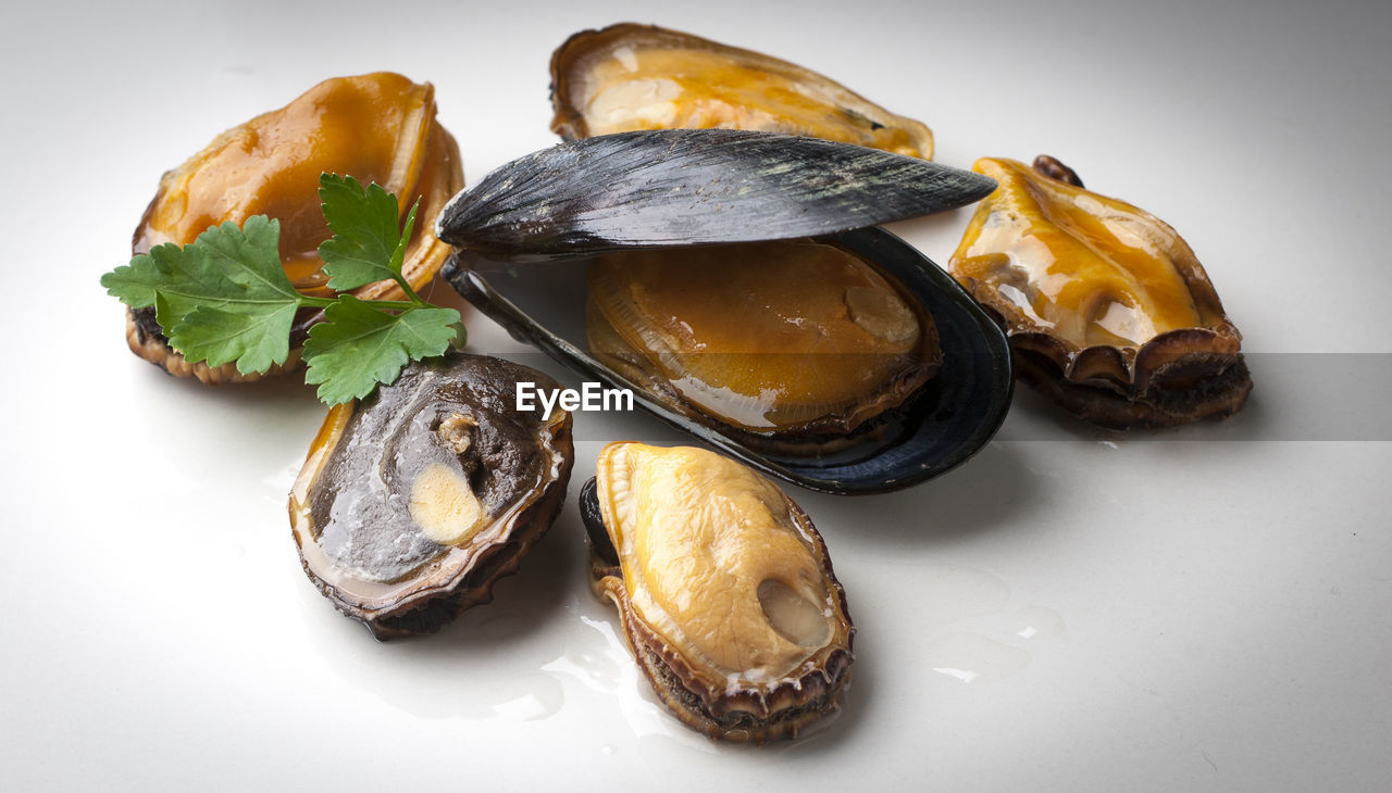 Close-up of seafood over white background