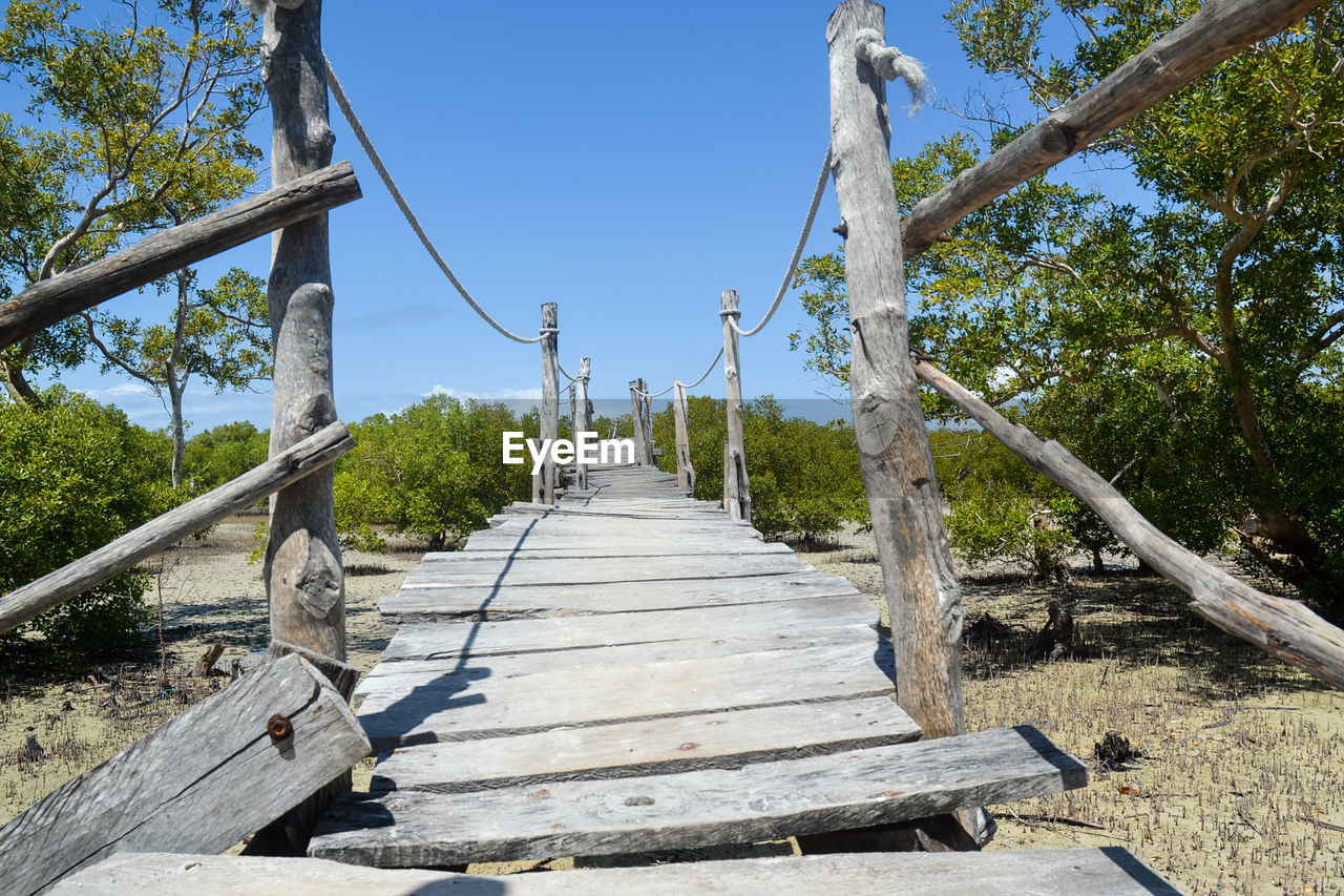 Boardwalk amidst trees against sky