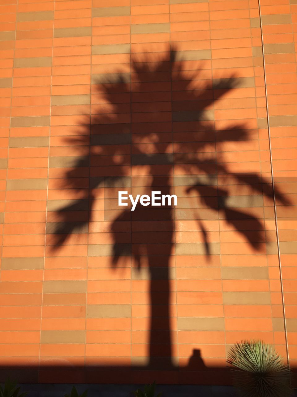 VIEW OF WOMAN SHADOW ON BRICK WALL