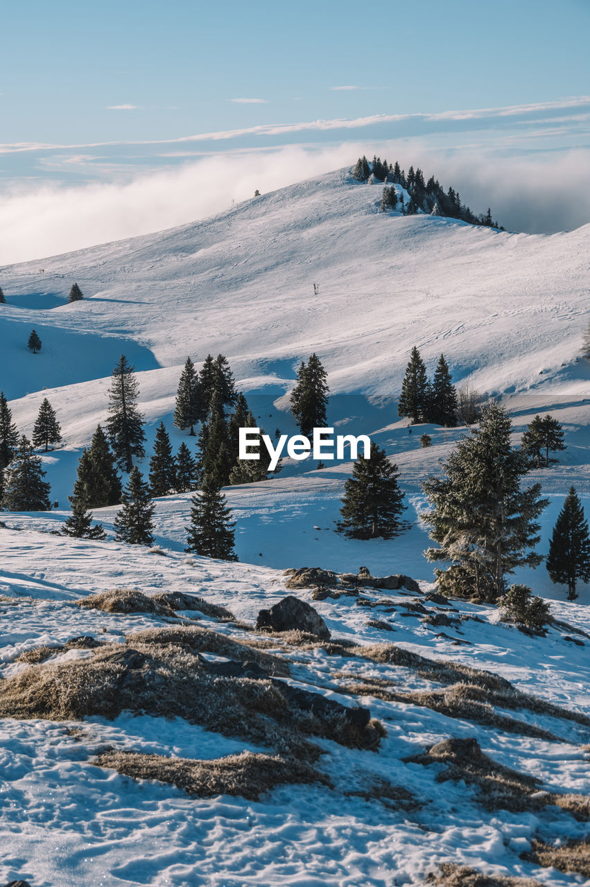 Sunny winter landscape on velika planina