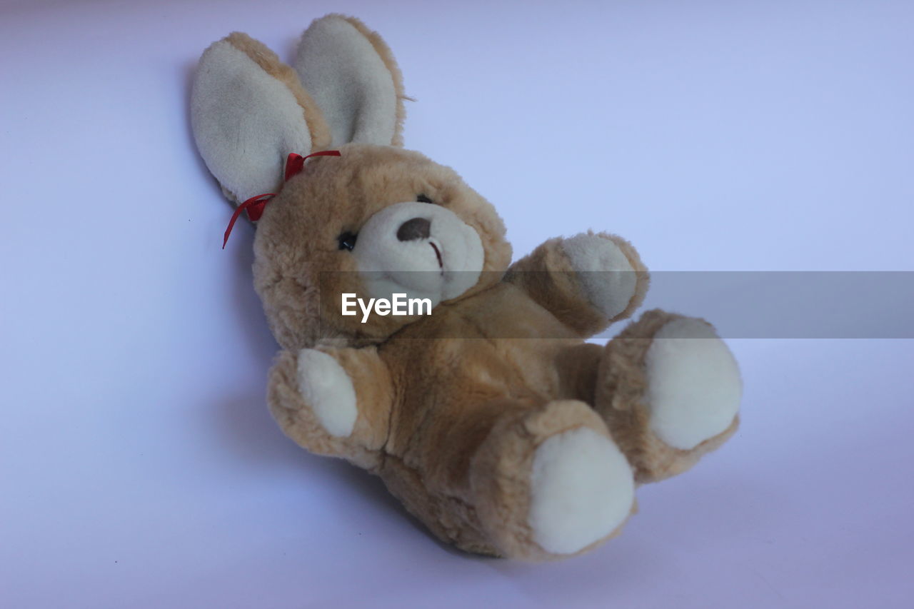CLOSE-UP OF STUFFED TOY