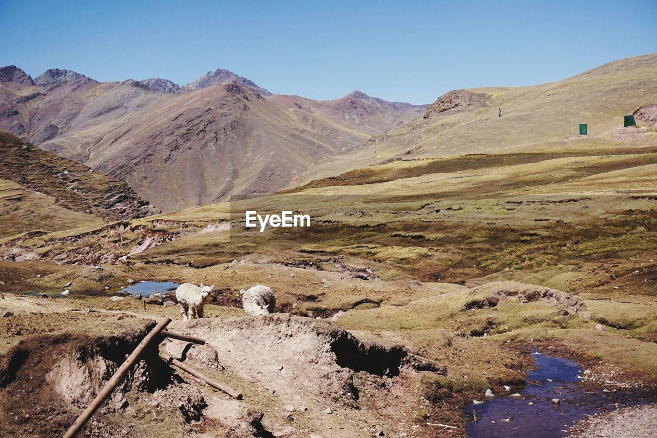 Scenic view of mountains against clear blue sky