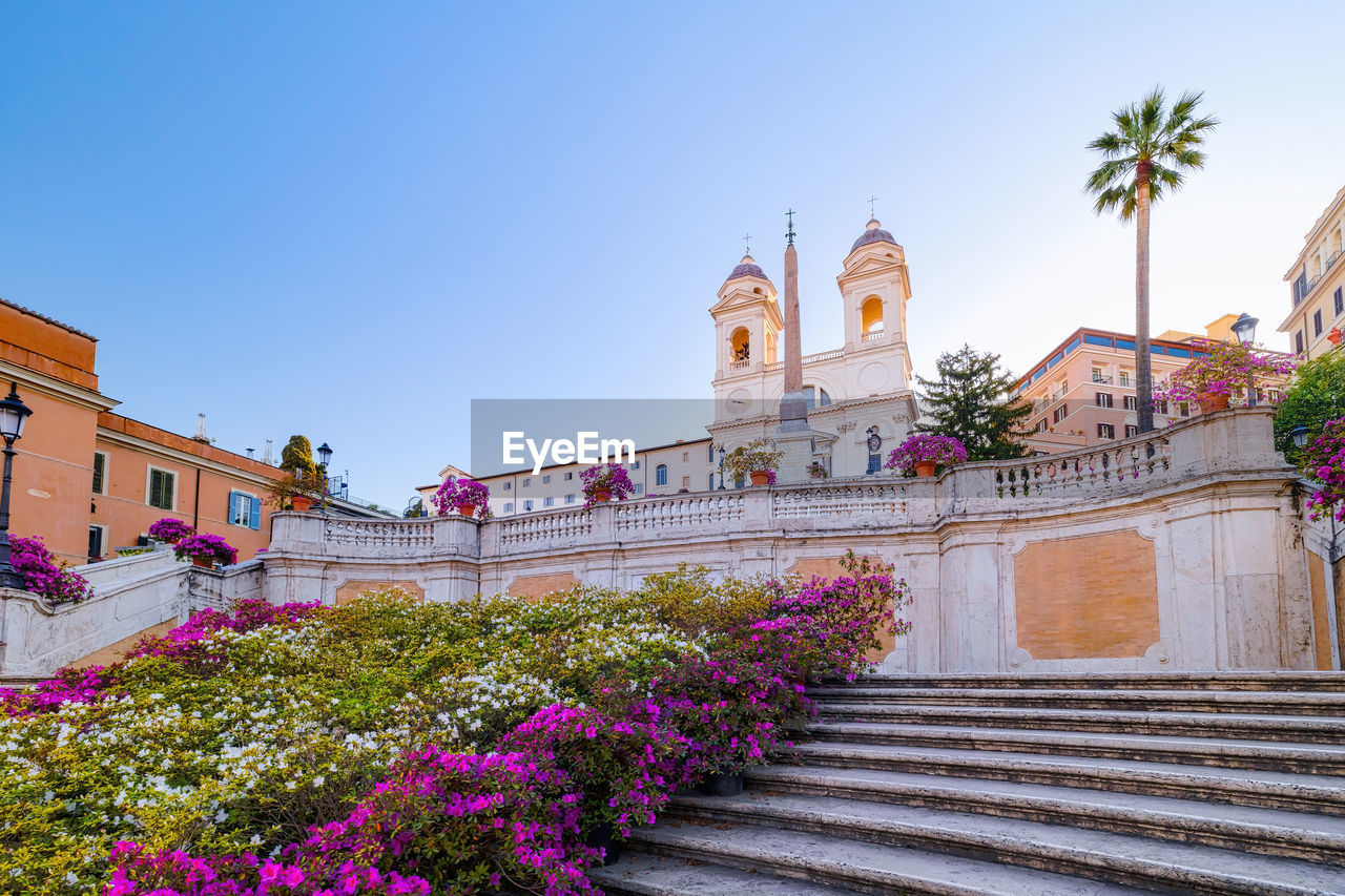 Spanish steps in the morning with azaleas. spanish steps is a famous landmark of rome italy.