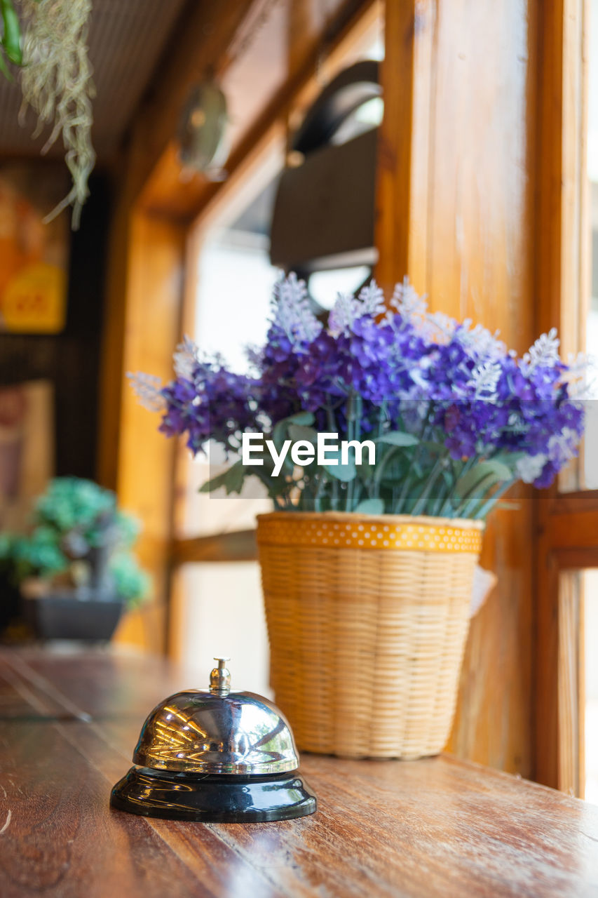 FLOWER POTS ON TABLE