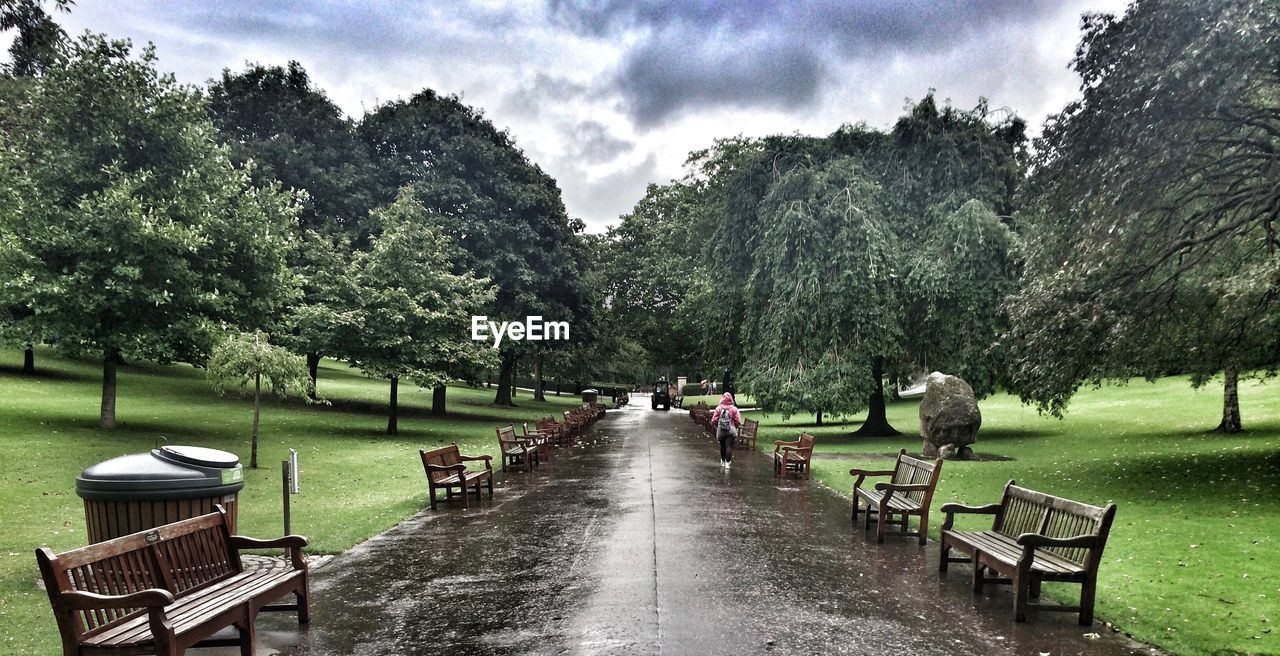 Empty benches on road at park during rainy season